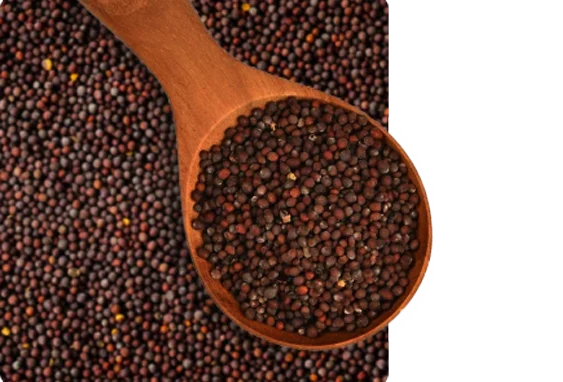 mustard_seeds