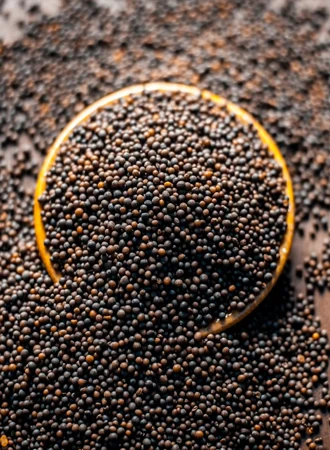 seeds